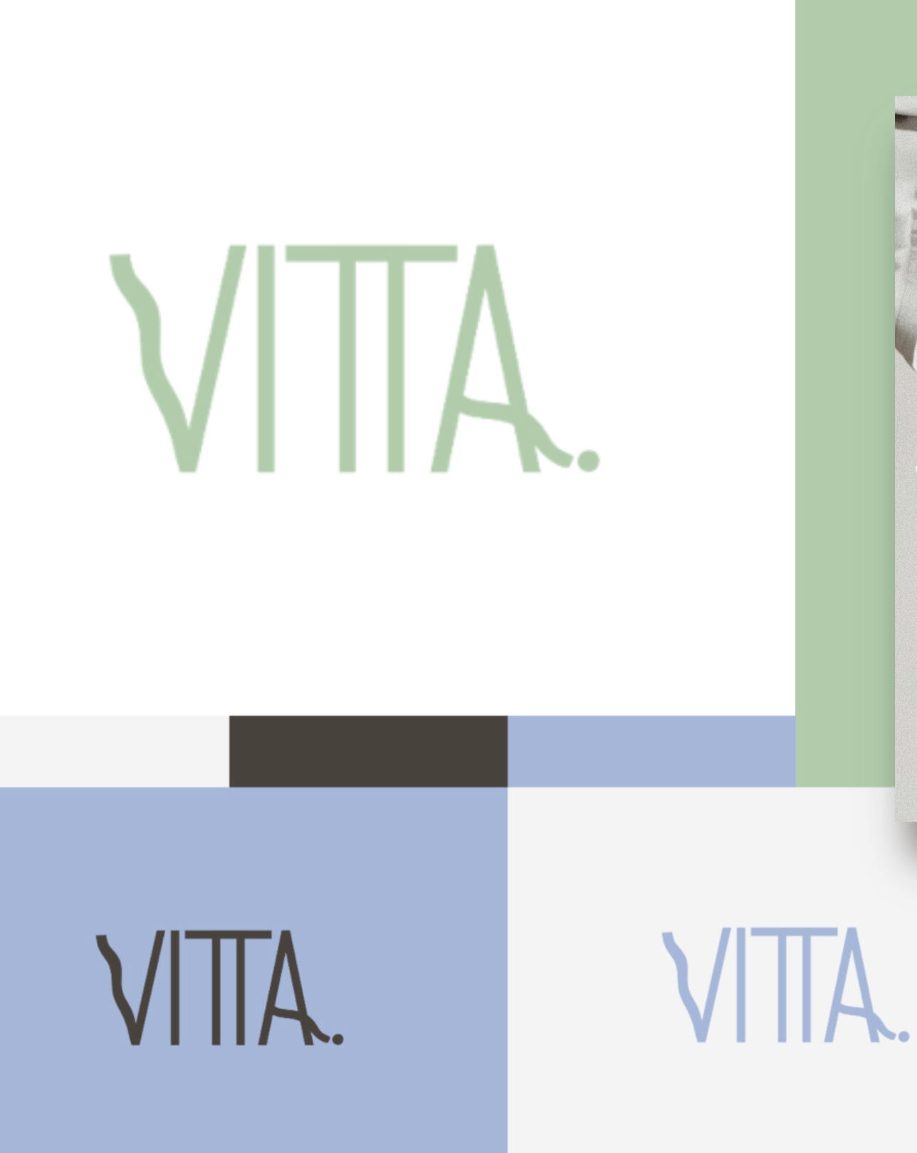Logotipo y variantes de color · Vitta